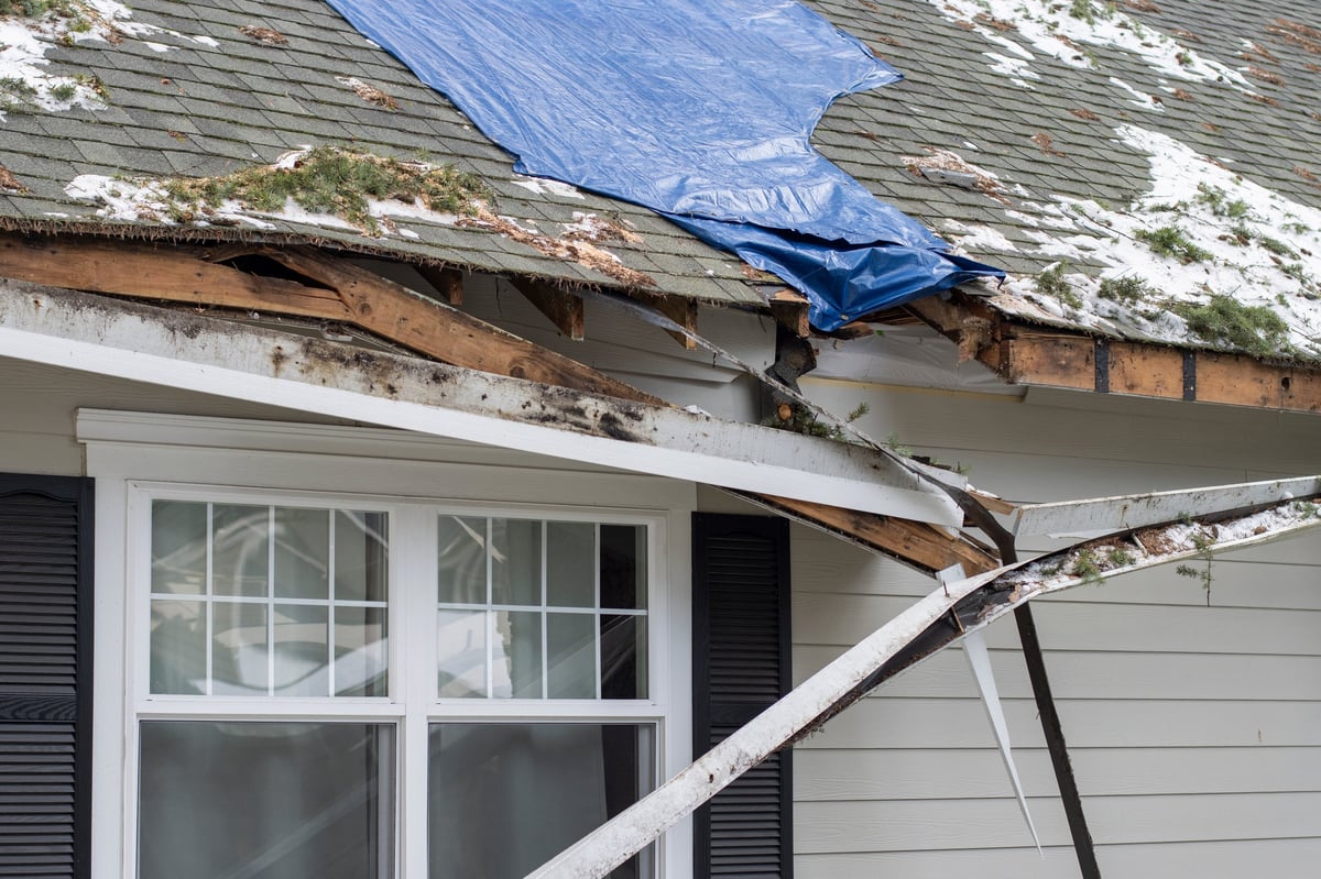 Residential house crushed by fallen trees and tree limbs during severe storm with tarp on damaged roof